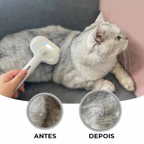 Cepillo de Aseo para Gatos con Vapor y Botón de Liberación 🐱✨